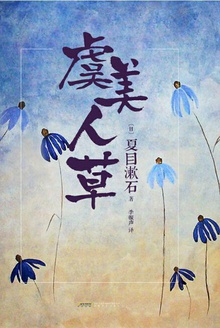 虞美人草