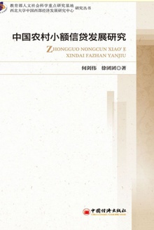 中国农村小额信贷发展研究