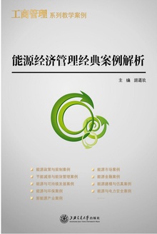 能源经济管理经典案例解析