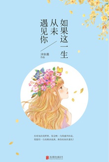 如果这一生,从未遇见你