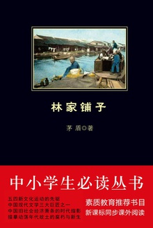 中小学生必读丛书:林家铺子