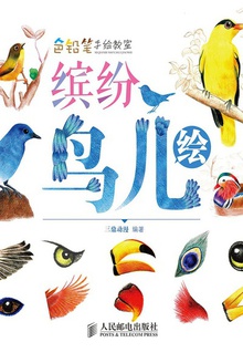 色铅笔手绘教室:缤纷鸟儿绘