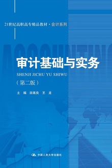 审计基础与实务(第二版)