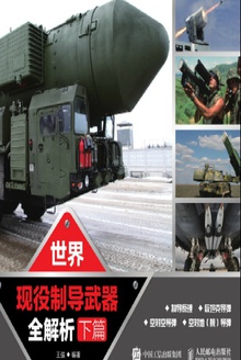 世界现役制导武器全解析(下篇)