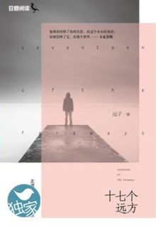 十七个远方
