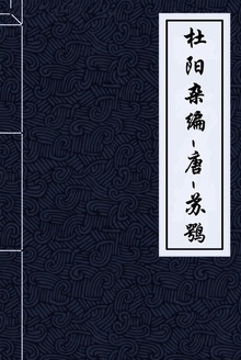 杜阳杂编
