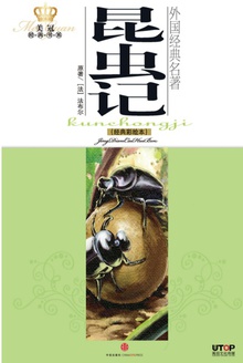 昆虫记(经典彩绘本)