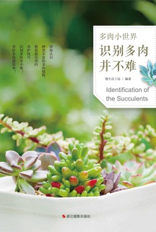 多肉小世界:识别多肉并不难