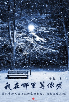 我在哪里等你呢(中国故事)