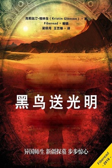 黑鸟送光明