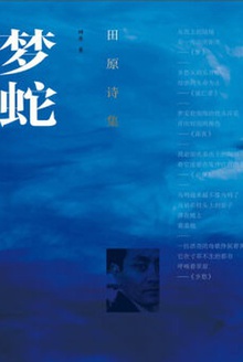 梦蛇:田原诗集