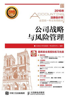 公司战略与风险管理