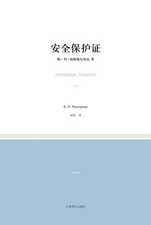 安全保护证