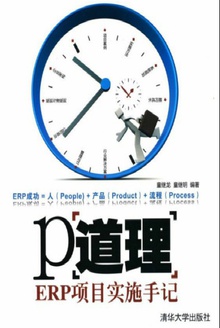 P道理:ERP项目实施手记