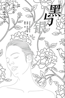 黑与银