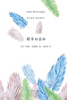 醒来的森林