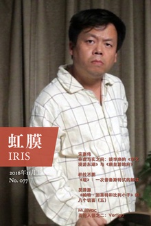 虹膜·2016年11月上(No.077)