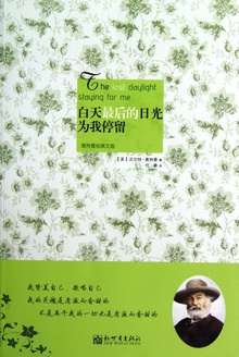 白天最后的日光为我停留