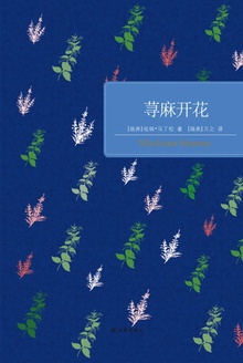 荨麻开花