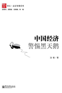中国经济:警惕黑天鹅