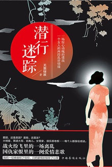 潜行迷踪