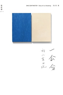 一公分:刘小东日记