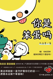 你是笨蛋吗