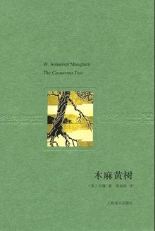 木麻黄树