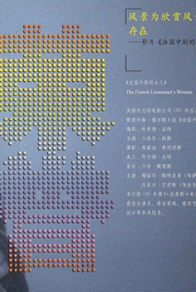 荣誉:影片《法国中尉的女人》读解