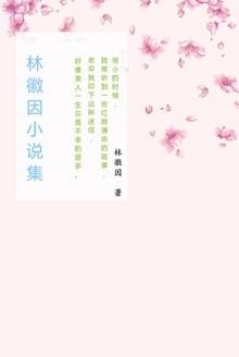 林徽因小说集