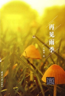 再见雨季