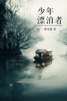 少年漂泊者