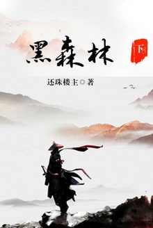黑森林(下)