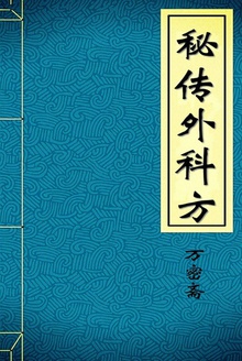 秘传外科方