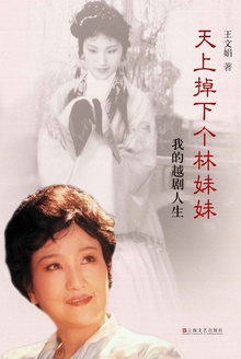 天上掉下个林妹妹