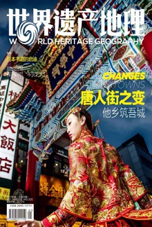 唐人街之变