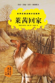 莱茜回家
