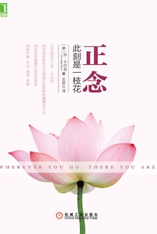 正念:此刻是一枝花