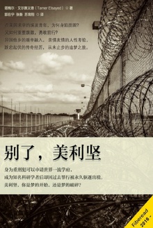 别了,美利坚