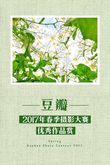 豆瓣·2017年春季摄影大赛优秀作品赏