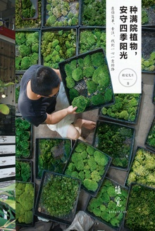种满院植物,安守四季阳光