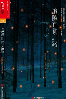 追随直觉之路