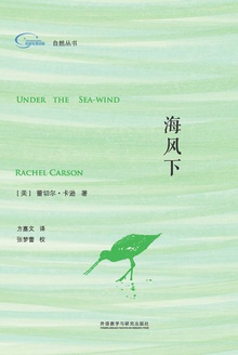 海风下
