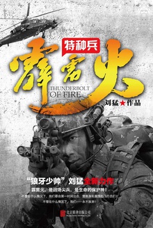 特种兵之霹雳火