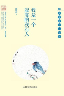 我是一个寂寞的夜行人