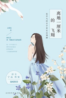 离地一厘米的飞翔