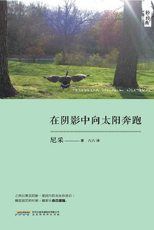 在阴影中向太阳奔跑