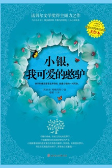 小银,我可爱的憨驴