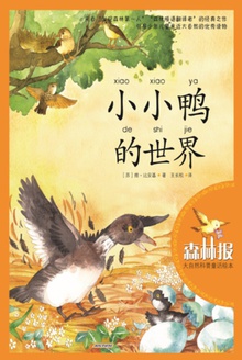 小小鸭的世界