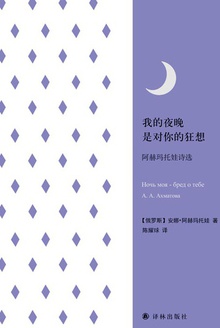我的夜晚是对你的狂想